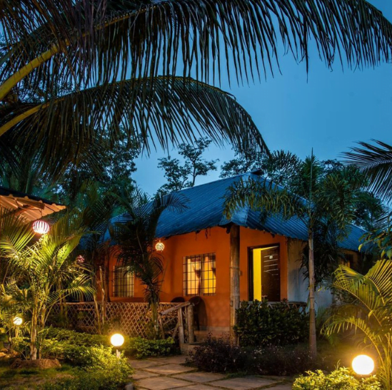 #195 dandeli package,png