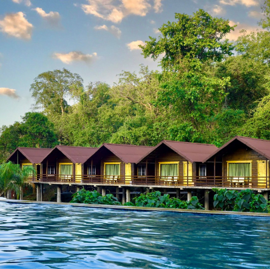 #197 dandeli package,png