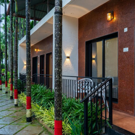 #205 dandeli package,png