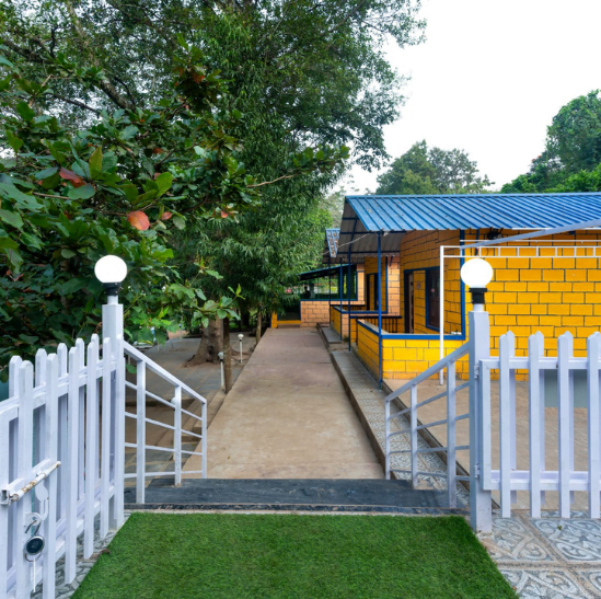 #208 dandeli package,png