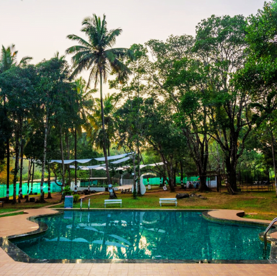 #212 dandeli package,png