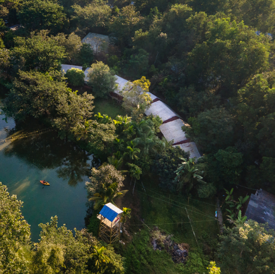 #213 dandeli package,png