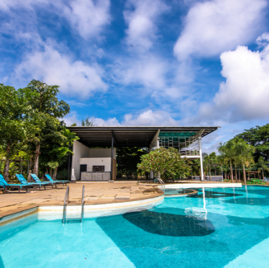 #215 dandeli package,png