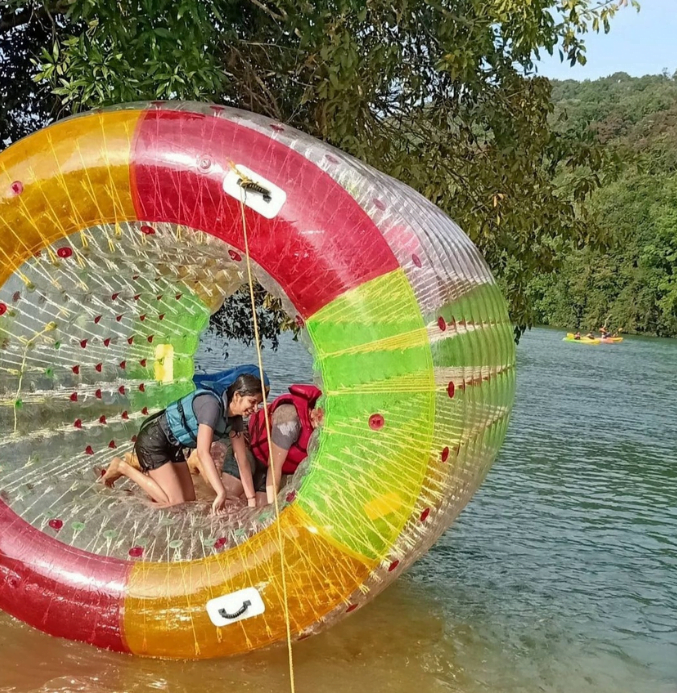 #219 dandeli package,png