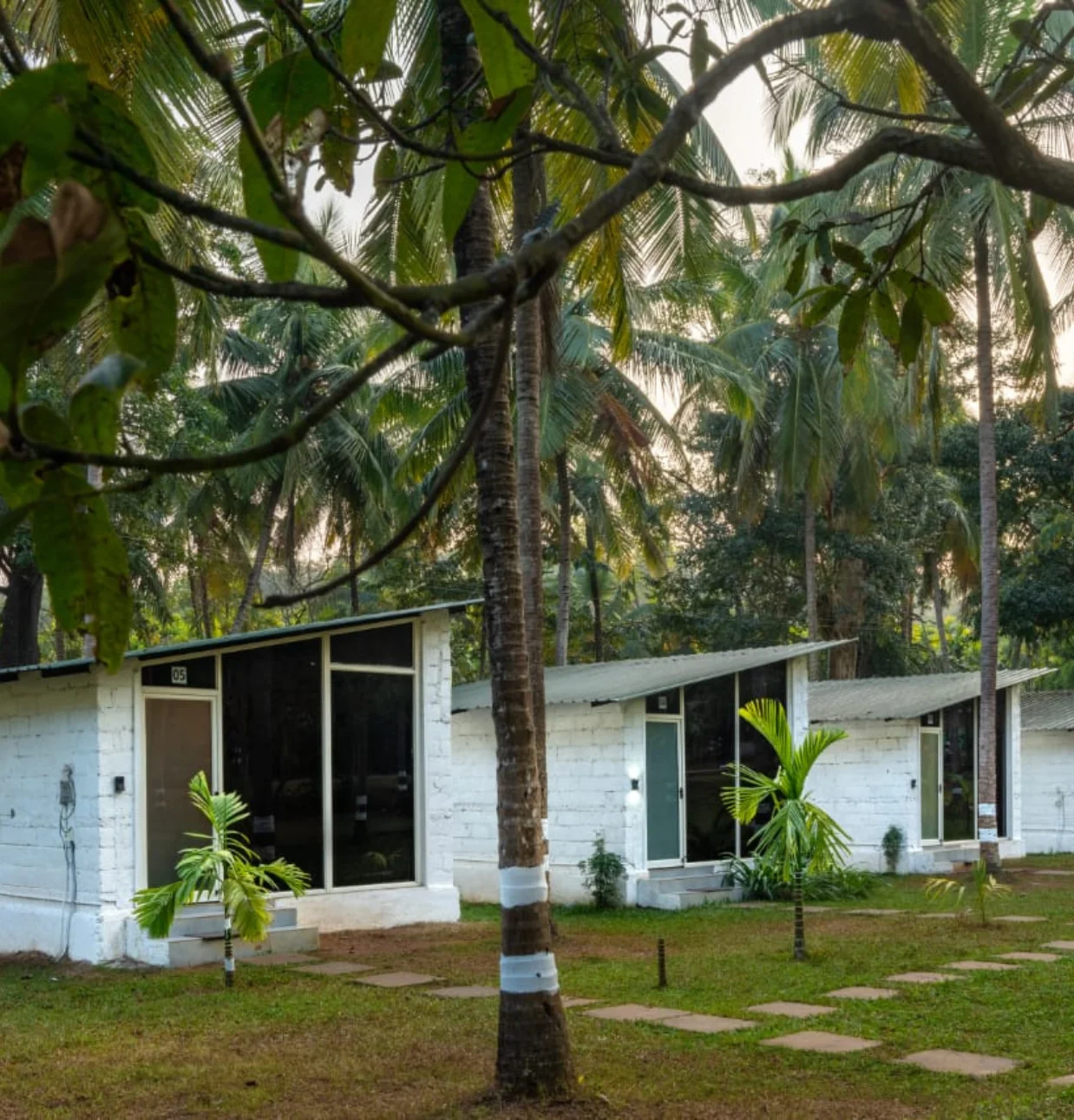 #223 dandeli package,png