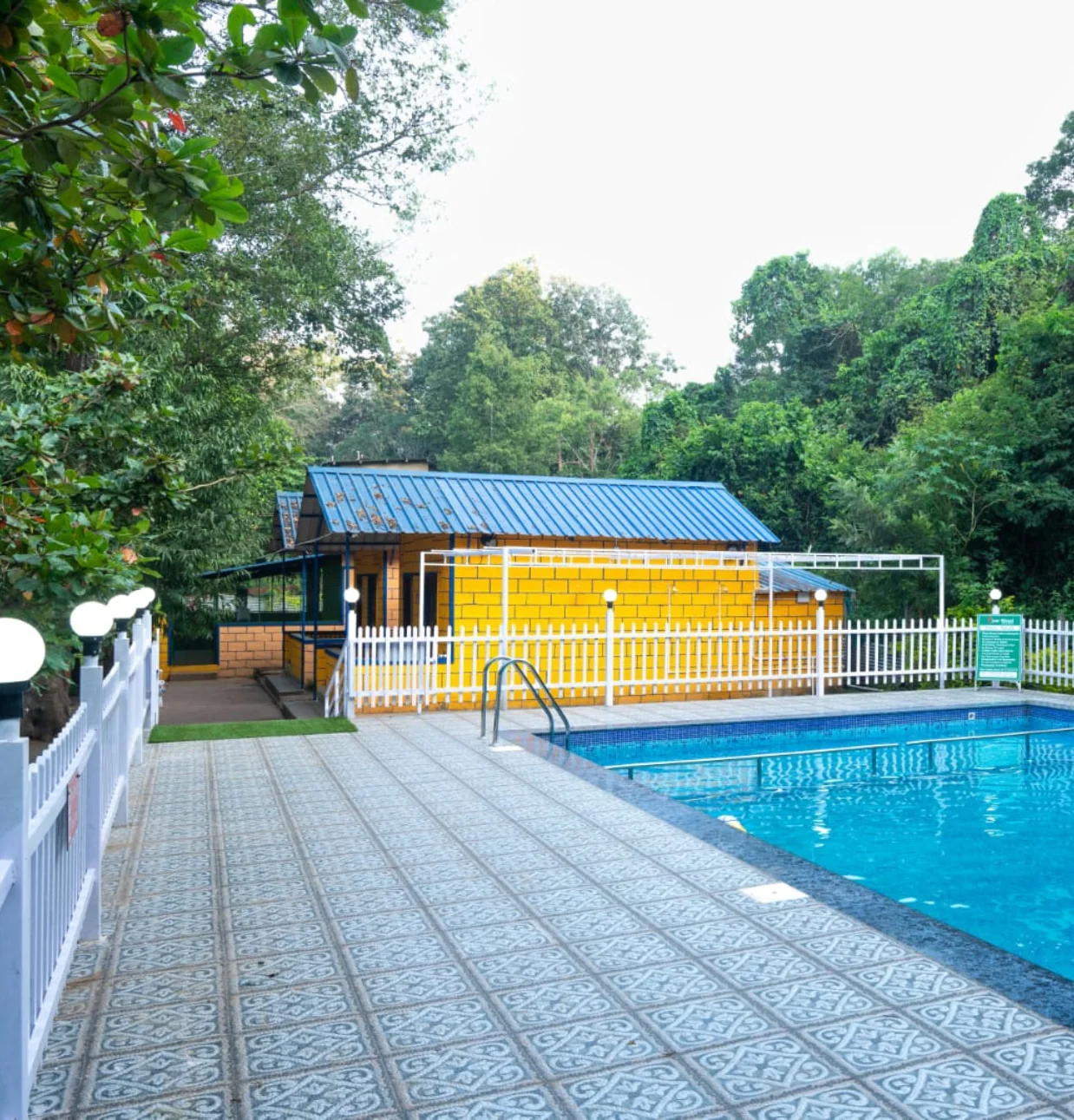 #224 dandeli package,png