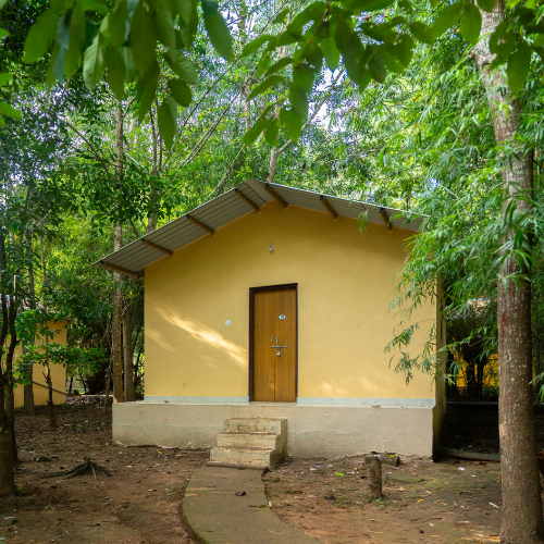 dandeli package,png