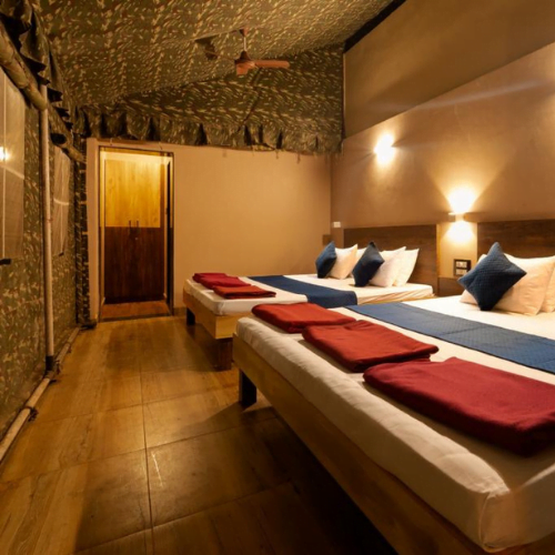 dandeli package,pngv